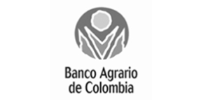 BancoAgrario_Clientes